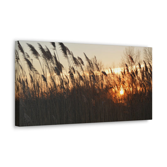 Sunset | Sunset Wall Art |  Wall Decor