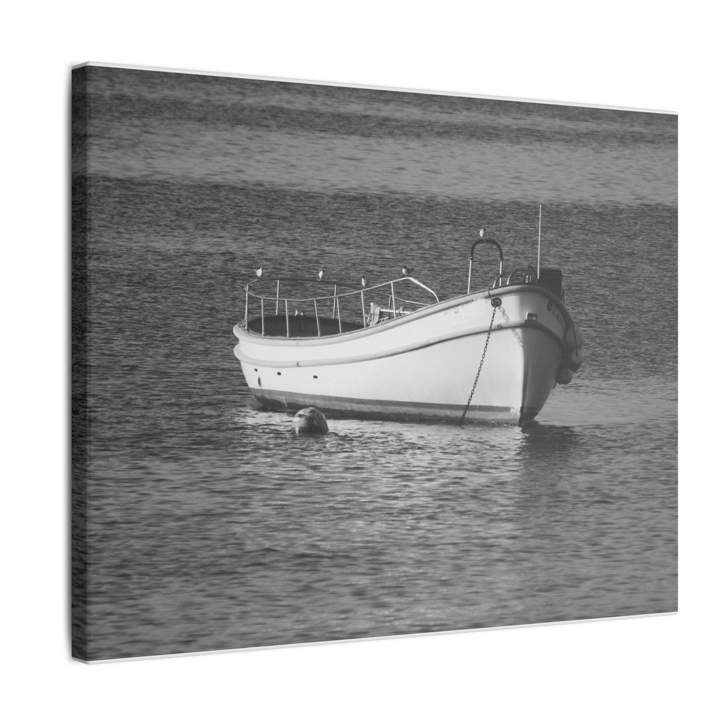 The Boat | Black and White Wall Art | Ocean View